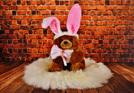 Cute hare ears lambswool teddy