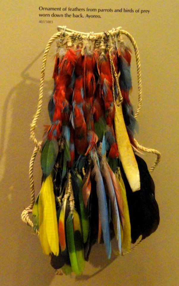 Ornament worn down back, Ayoreo people - South American objects in the American Museum of Natural History - DSC06045
