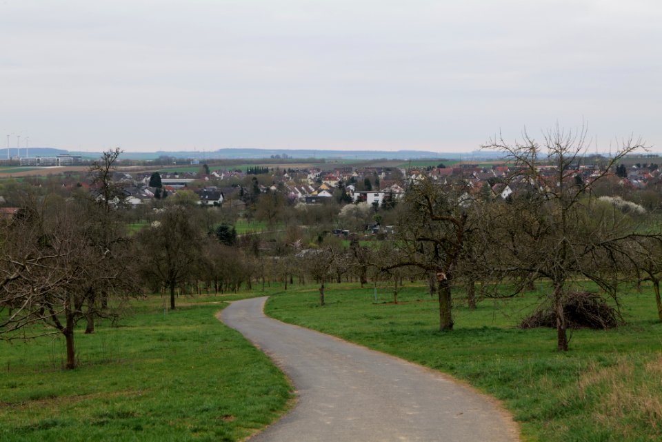 Orchard Ockstadt 2021-04-02 32