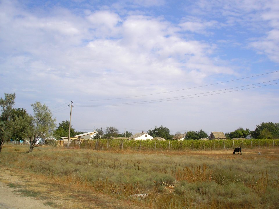 OrlovkaRaz 20