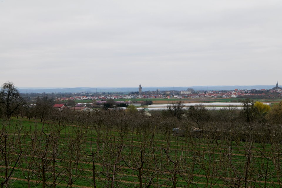 Orchard Ockstadt 2021-04-02 16