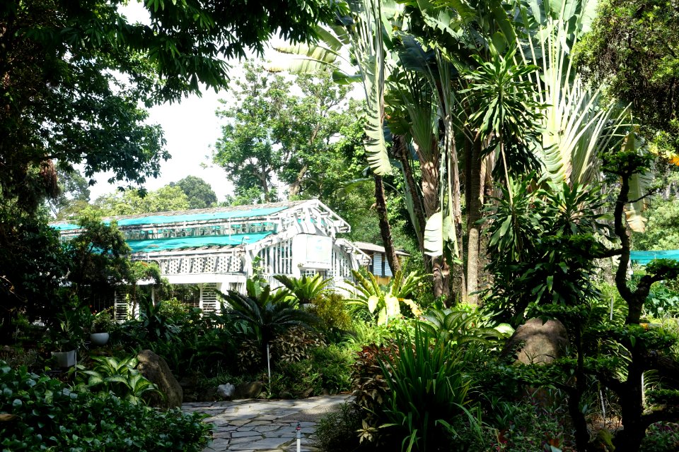 Orchid House - Saigon Zoo and Botanical Gardens - Ho Chi Minh City, Vietnam - DSC01304