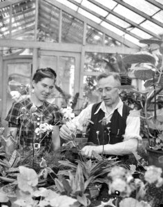 Orchideeenkwekerij, Bestanddeelnr 901-7967