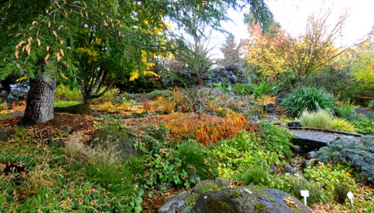 Oregon Garden - Silverton, Oregon - DSC00159