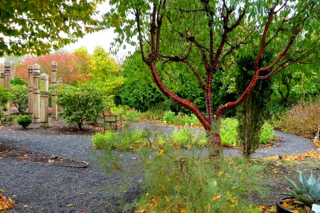 Oregon Garden - Silverton, Oregon - DSC00142