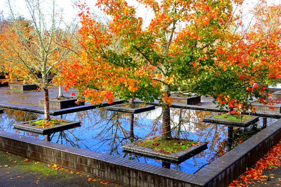 Oregon Garden - Silverton, Oregon - DSC00288