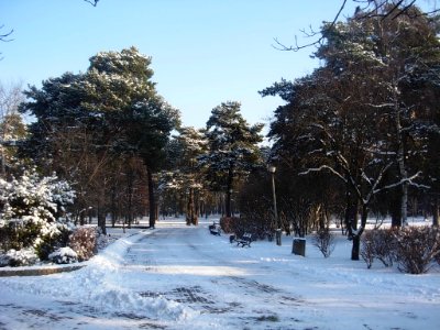 Os Leśne Bydg park 01-2013