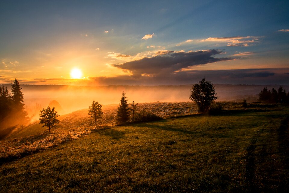 Grass landscape mist