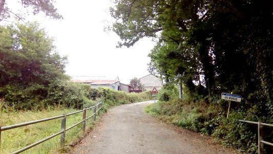 Os Muros Curtis A Coruña