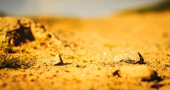 Landscape dry sandy photo