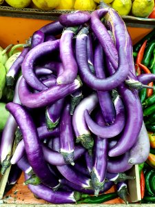 Orient Charm eggplants 2017 C