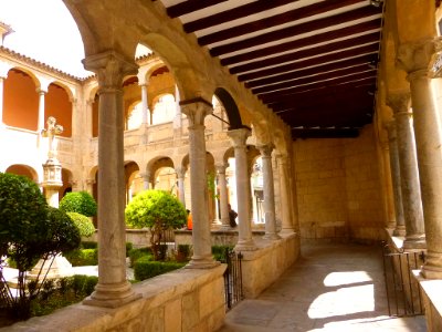 Orihuela - Catedral del Salvador, claustro 06