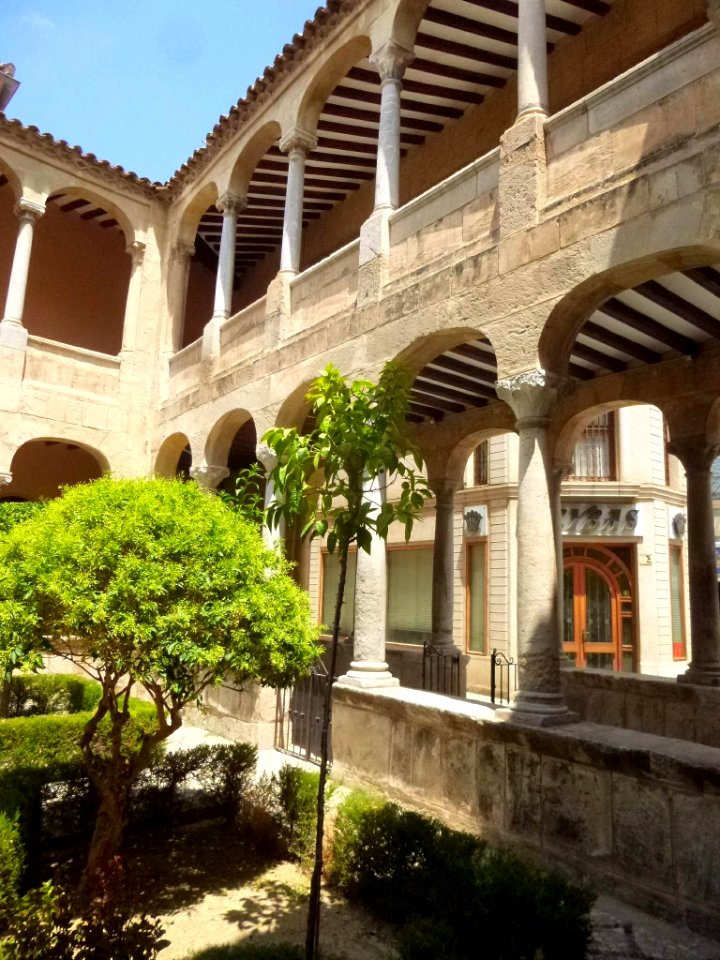 Orihuela - Catedral del Salvador, claustro 02