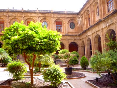 Orihuela - Colegio Diocesano de Santo Domingo, Claustro barroco del Convento 04
