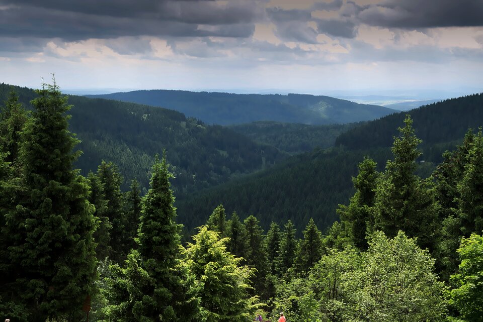Distant view thuringian forest trees