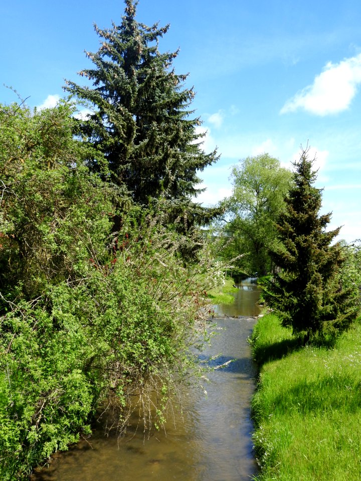 Orla river Molbitz, Neustadt-Orla 1