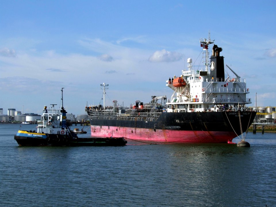 Oriental Tulip p2, Port of Rotterdam, Holland