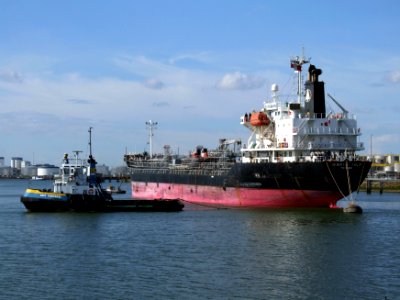 Oriental Tulip p2, Port of Rotterdam, Holland