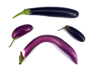 Orient Express and Orient Charm eggplants 2017 C