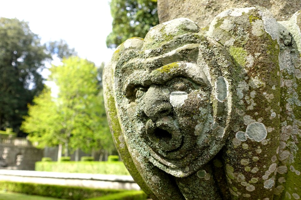 Ornament - Villa Lante, Bagnaia, Italy -DSC01862