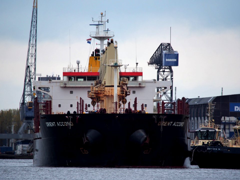 Orient Accord (ship, 2010) IMO 9467627, Port of Amsterdam pic1