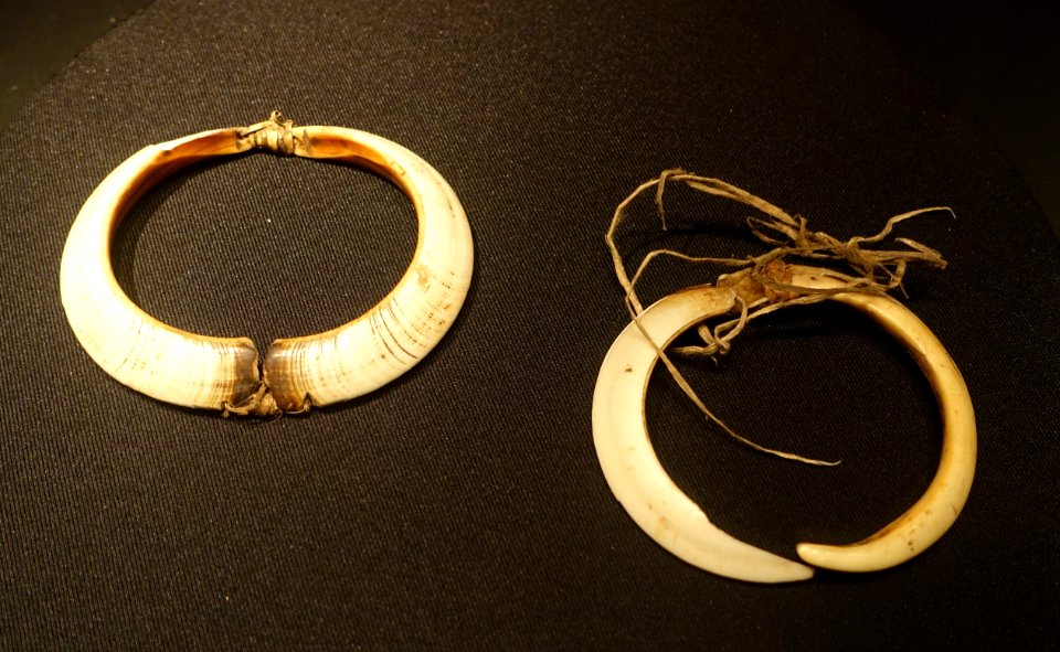 Ornaments - Asmat people - Etnografiska museet - Stockholm, Sweden - DSC00798