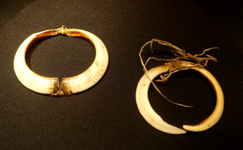 Ornaments - Asmat people - Etnografiska museet - Stockholm, Sweden - DSC00798