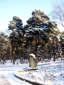 Os Leśne Bydg park c 01-2013
