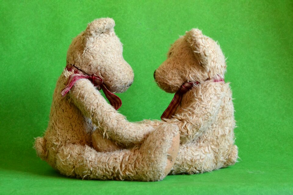 Together cute shaggy