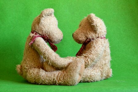 Together cute shaggy