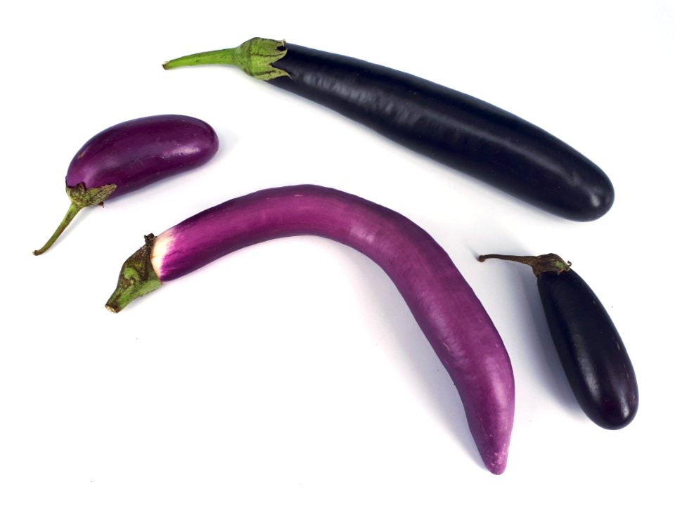 Orient Express and Orient Charm eggplants 2017 B