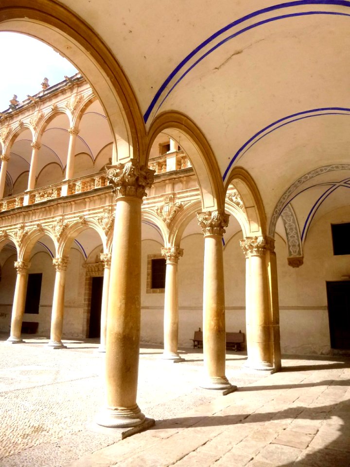 Orihuela - Colegio Diocesano de Santo Domingo, Claustro renacentista de la Universidad 12