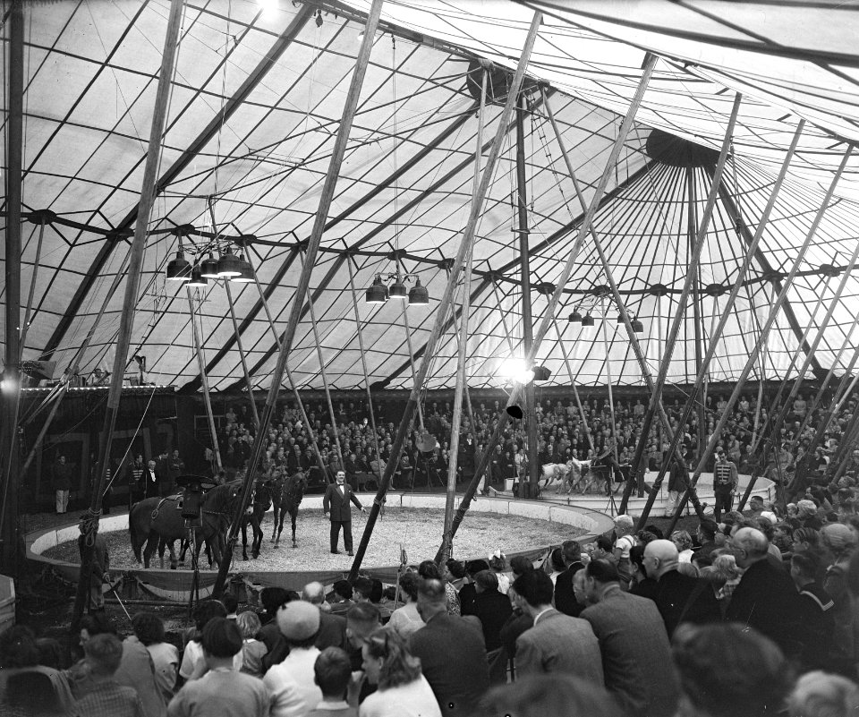 Opnamen tijdens voorstelling Circus Mullens, Bestanddeelnr 905-9145
