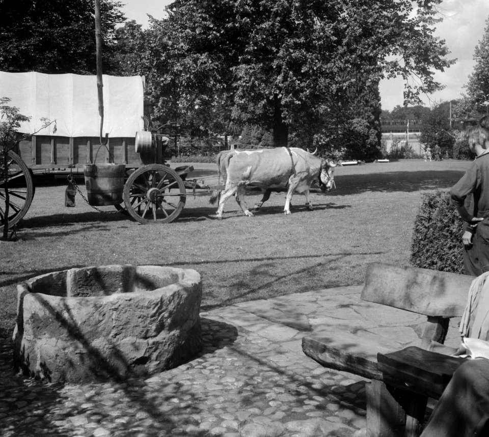 Opnamen FF-tentoonstelling te Enschede. Een Transvaalse boer met een huifkar get, Bestanddeelnr 904-7346