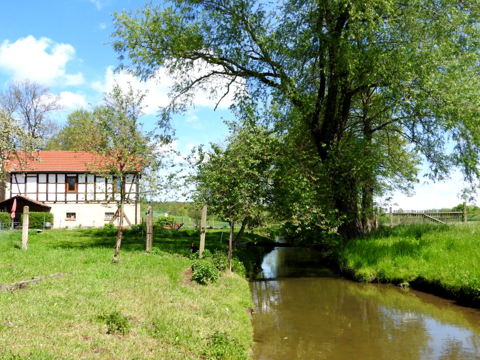 Orla river Molbitz, Neustadt-Orla 4
