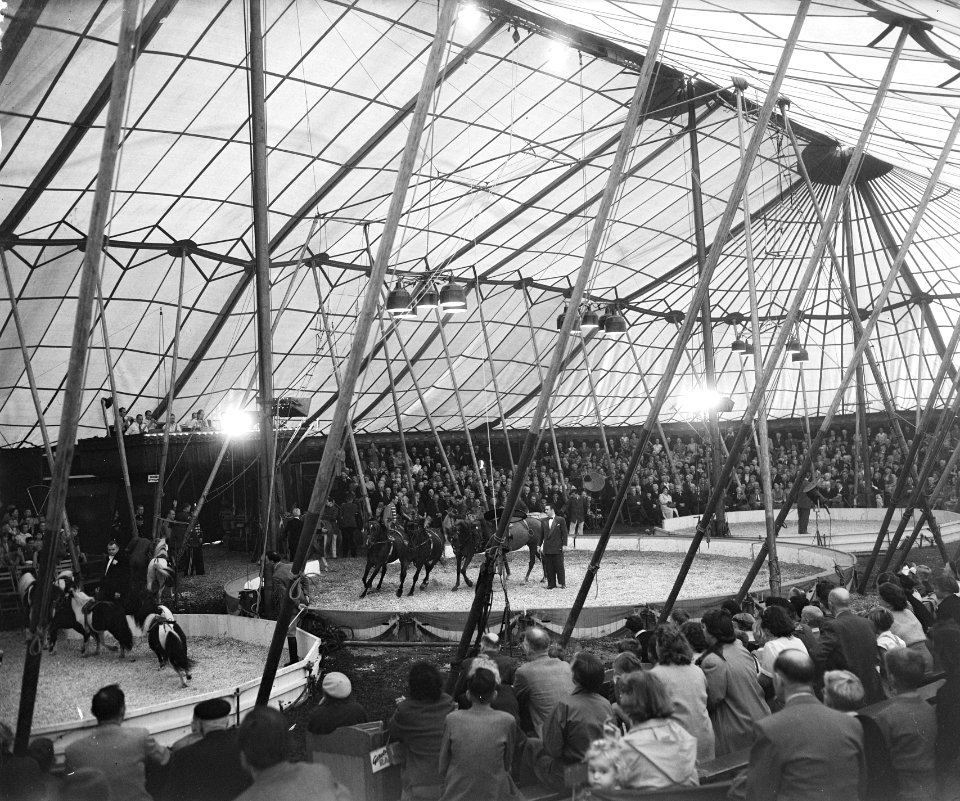 Opnamen tijdens voorstelling Circus Mullens, Bestanddeelnr 905-9144