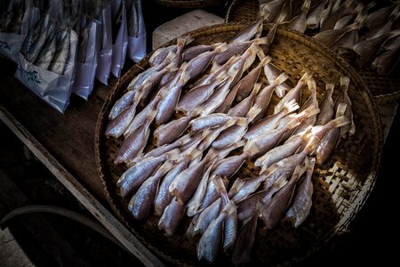 Market invertebrate daytime