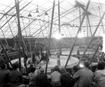 Opnamen Circus Mullens Amsterdam, Bestanddeelnr 905-9023