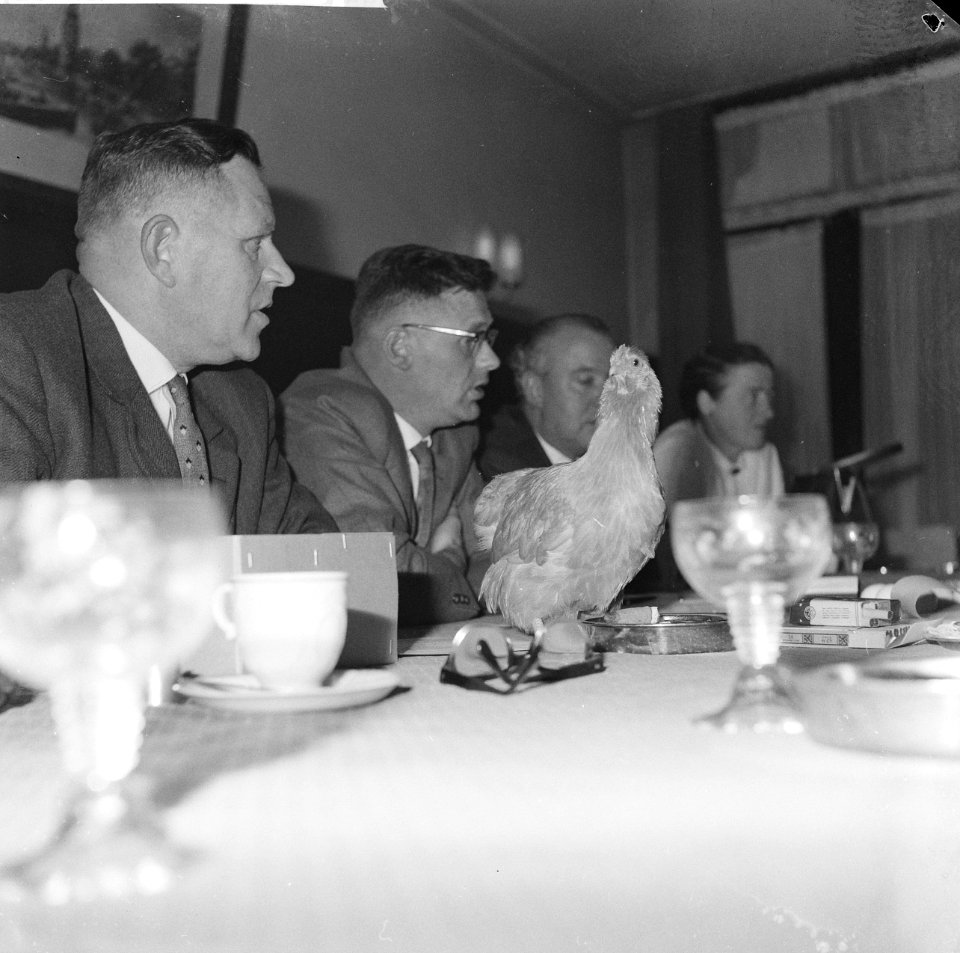 Ornis-tentoonstelling. Persconferentie in de Pool . Hr. Otten sr. en Otten jr., Bestanddeelnr 913-1316