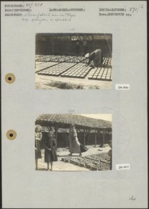 Opsnijden, Bestanddeelnr 256-3816