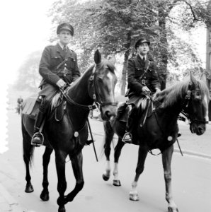 Opnamen bereden politie, Bestanddeelnr 907-3586