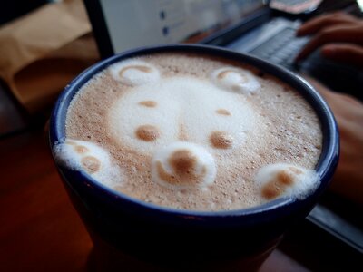 Caffeine coffee cup bear