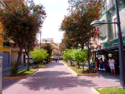 Orihuela - 08