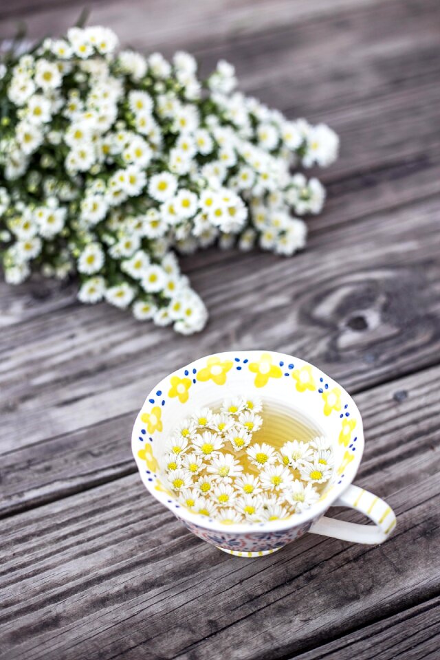 Cup flora flowers