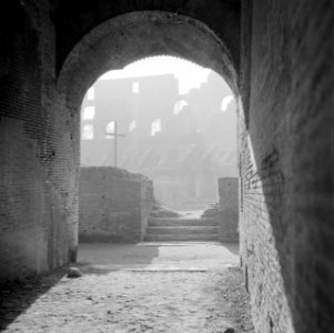 Opname vanuit één van de ingangen van het Flavisch amfitheater ofwel Colosseum, Bestanddeelnr 191-1225 photo