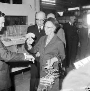 Opening vogeltentoonstelling te Rotterdam, tijdens rondgang bekeek mevrouw Van W, Bestanddeelnr 917-3616