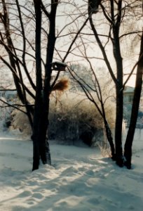 Opettajakerho Oulu 199501b