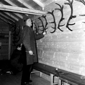 Ophangen van hertengeweien in de boswachterij Ihrige, post wingeshausen, Bestanddeelnr 254-3434