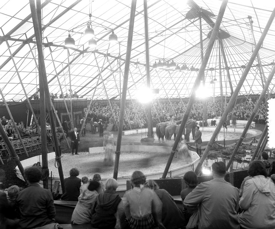 Opnamen Circus Mullens Amsterdam, Bestanddeelnr 905-9025