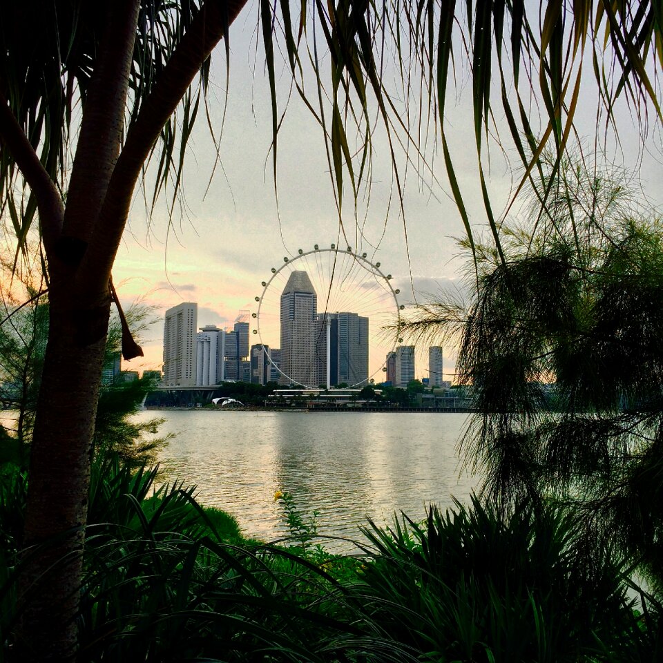 Landscape ferris wheel singapore